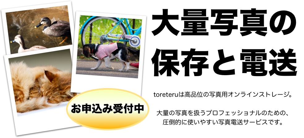 大量写真の保存と電送。toreteruは高品位の写真用オンラインストレージ。大量の写真を扱うプロフェッショナルのための、圧倒的に使いやすい写真電送サービスです。